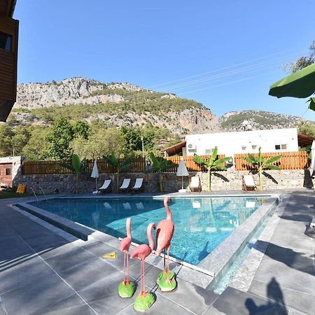 גוג'ק Casa Luxury Hotel מראה חיצוני תמונה